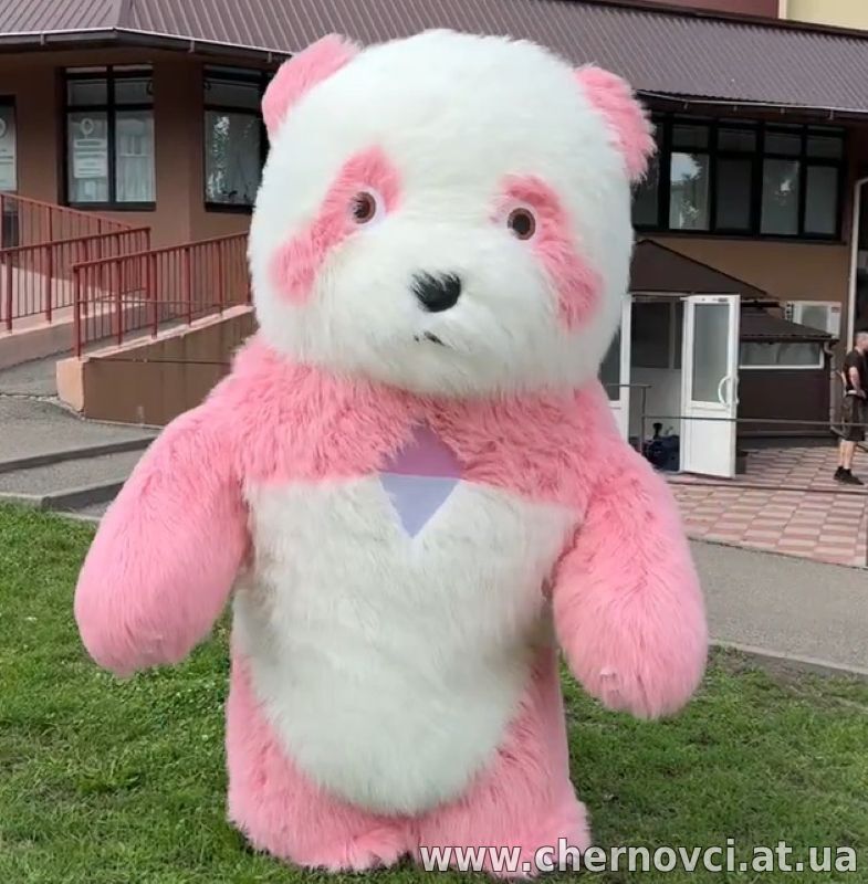 Костюм аніматору Ведмедик 250 см, свобода рухів, огляд, 4 години роботи